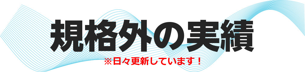 規格外の実績